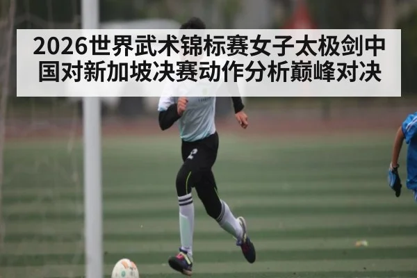 2026世界武术锦标赛女子太极剑中国对新加坡决赛动作分析巅峰对决